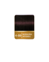 PALETTE BORGOÑA INTENSO 4-89 X50 ML